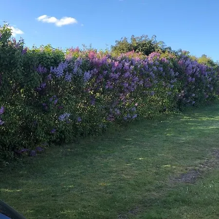 Vakantiehuis Bbl59 Fåborg